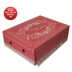 NTGS CNC 290 MERAH 1W